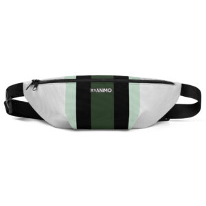 Fanny pack rankinė. 'Metro Stream' dizainas