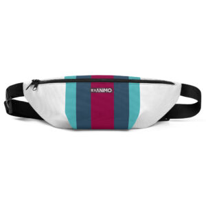 Fanny pack rankinė. 'Modern Shift' dizainas